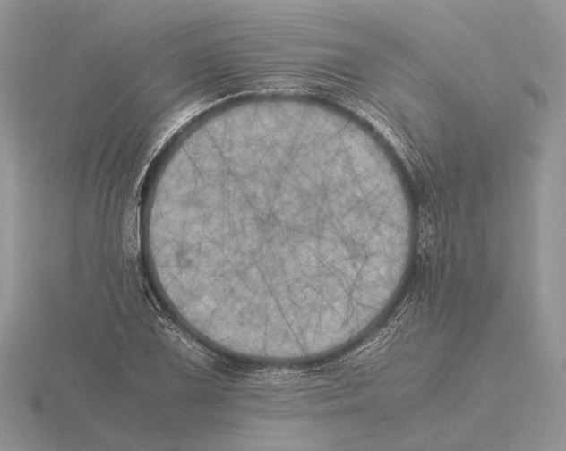 X0000115661075200912101047