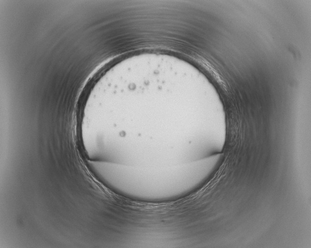 X0000115661076200912101047