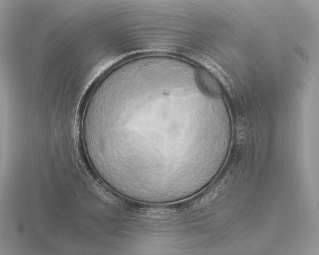 X0000115661077200912101047