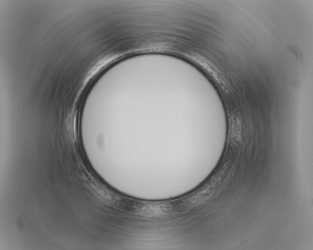 X0000115661078200912101047