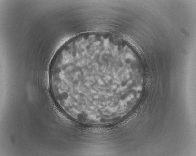 X0000115661079200912101047