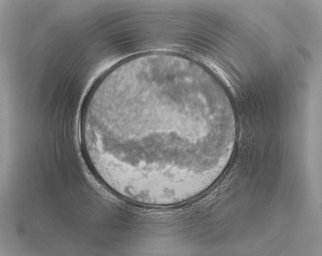 X0000115661080200912101047