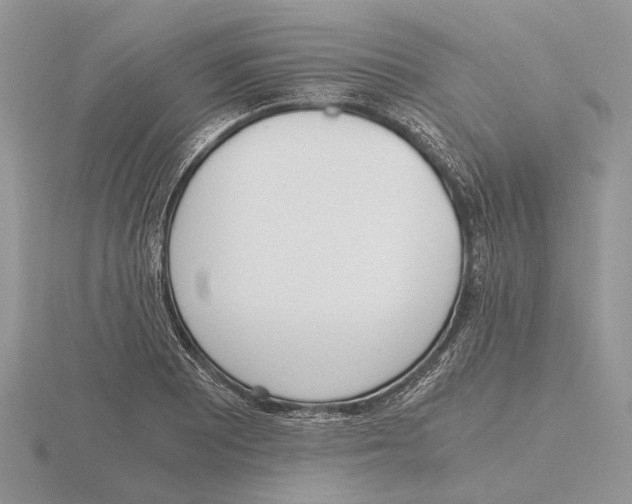 X0000115661081200912101047