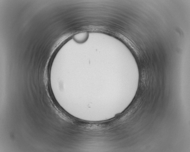 X0000115661082200912101047