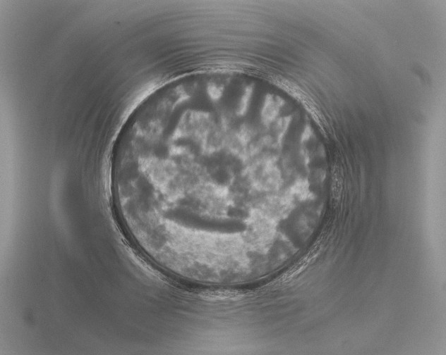 X0000115661083200912101047