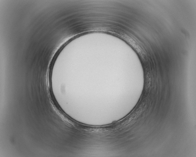 X0000115661084200912101046