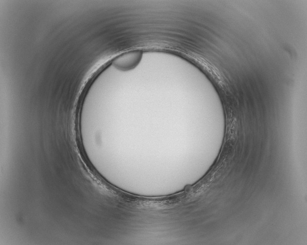 X0000115661086200912101046