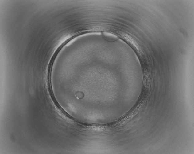 X0000115661087200912101046