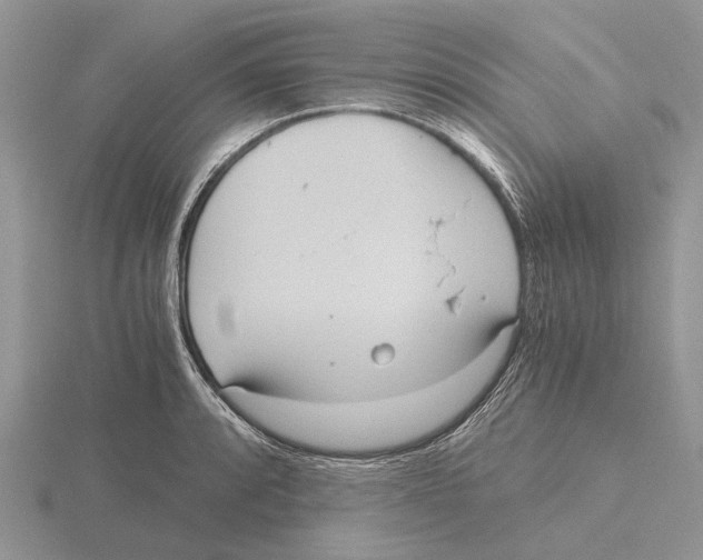 X0000115661088200912101046