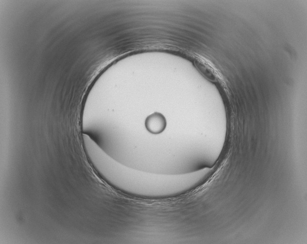 X0000115661089200912101046