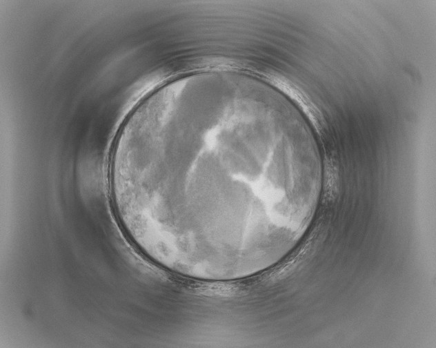 X0000115661090200912101046