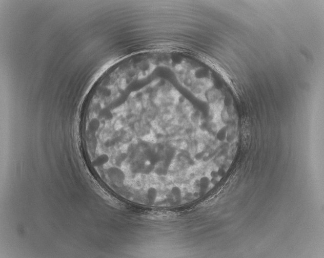 X0000115661091200912101046