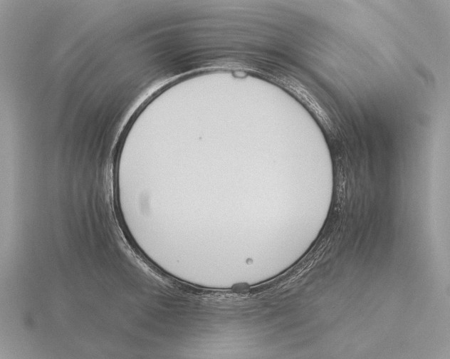 X0000115661092200912101046