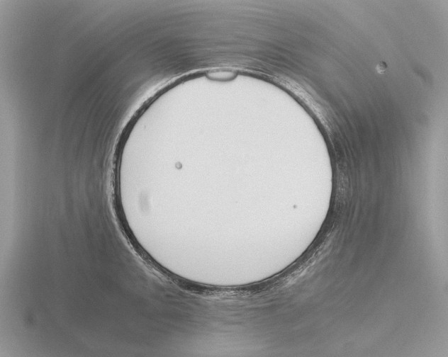 X0000115661093200912101046