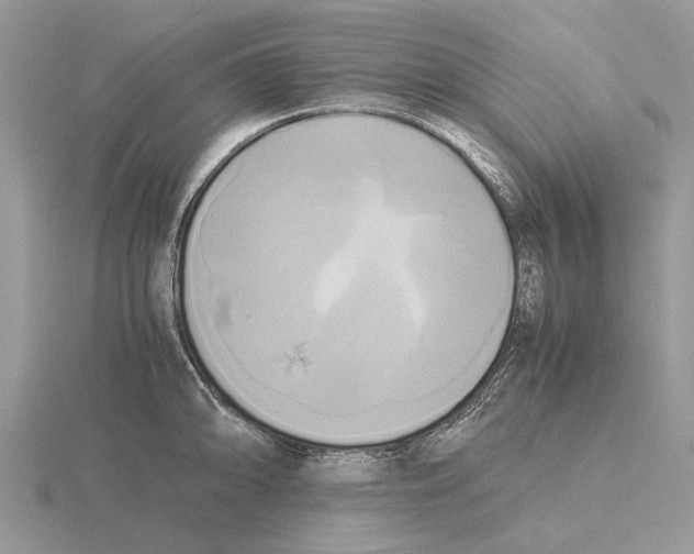 X0000115661094200912101046