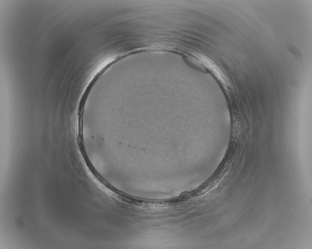 X0000115661095200912101046