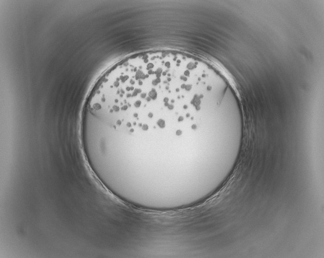 X0000115661096200912101046