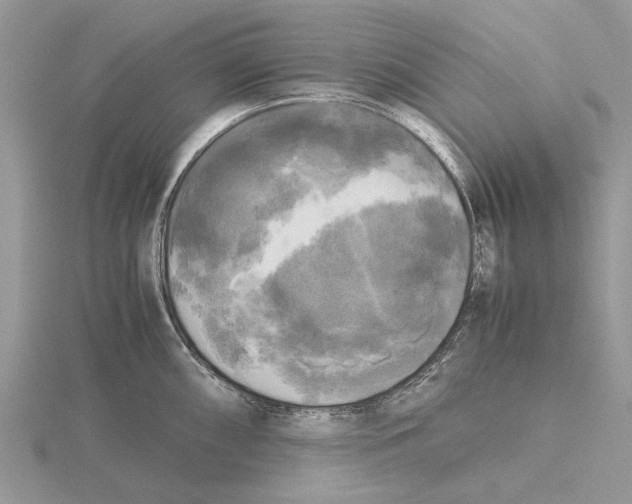 X0000115661098200912101046