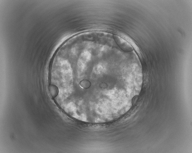 X0000115661099200912101046