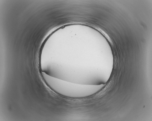 X0000115661101200912101046