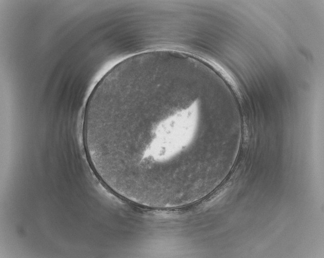 X0000115661102200912101046