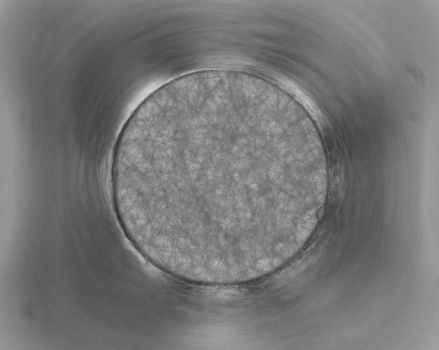 X0000115661103200912101046