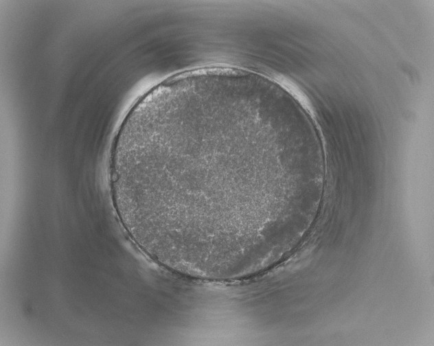 X0000115661104200912101046