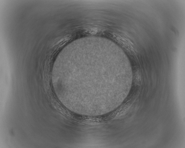 X0000115661105200912101045