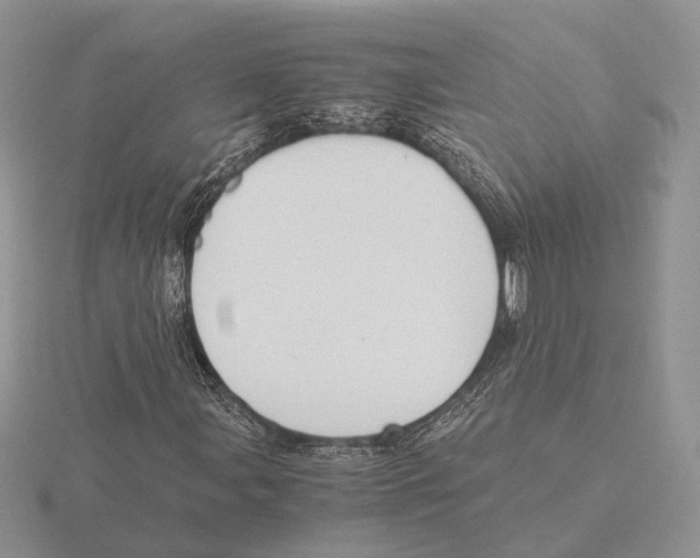 X0000115661107200912101045