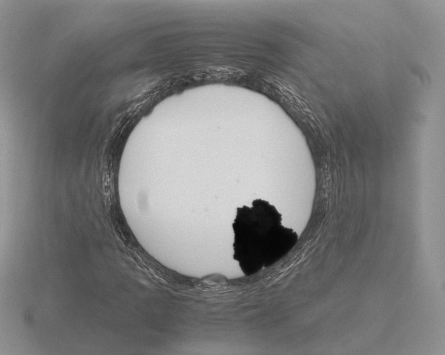 X0000115661109200912101046