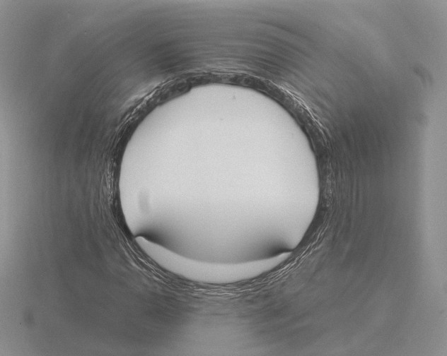 X0000115661110200912101046