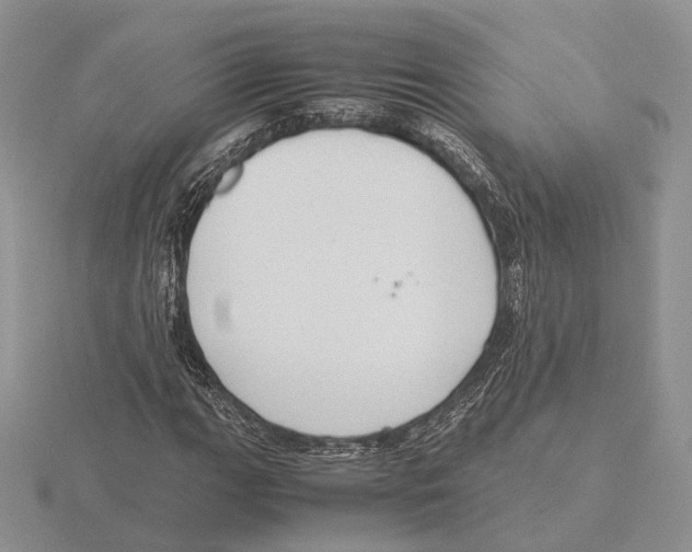 X0000115661111200912101046