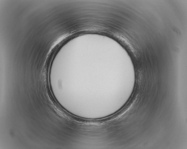 X0000115661114200912101046