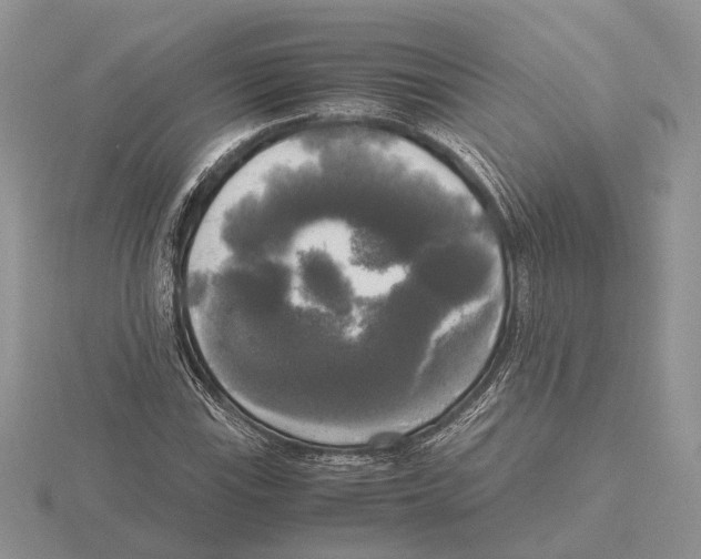 X0000115661115200912101046