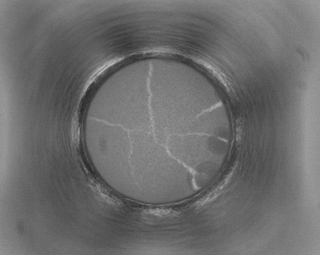 X0000115661117200912101046