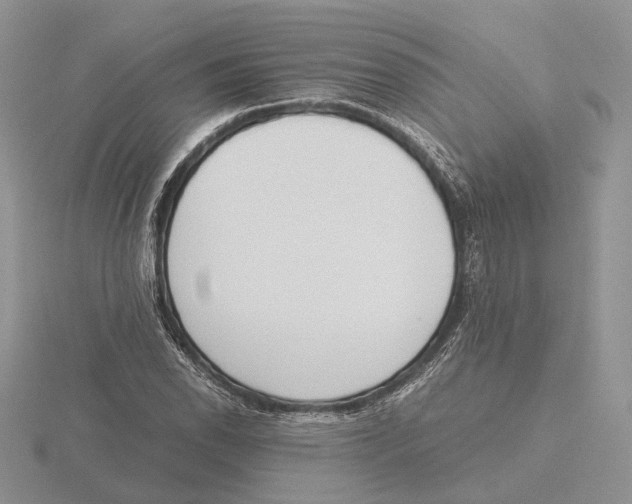 X0000115661118200912101046