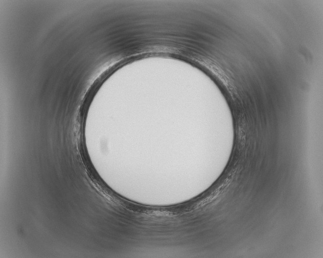 X0000115661119200912101046