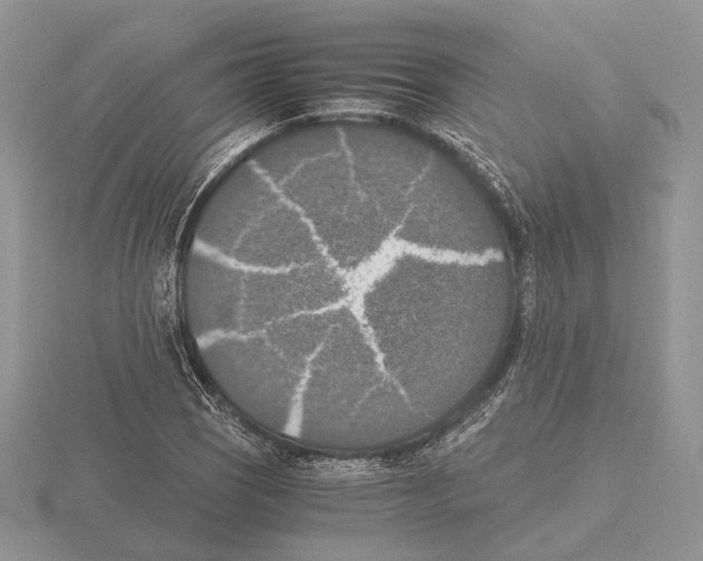 X0000115661121200912101046