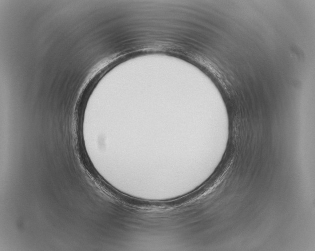 X0000115661122200912101046