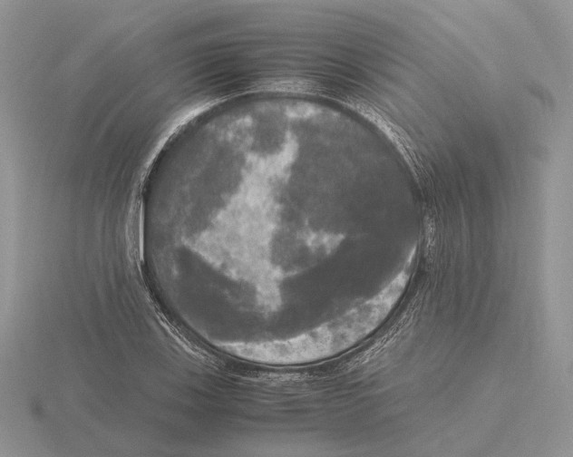 X0000115661123200912101046