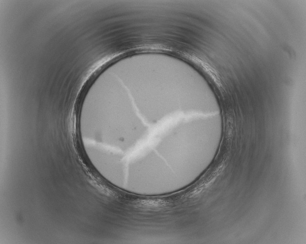 X0000115661125200912101046