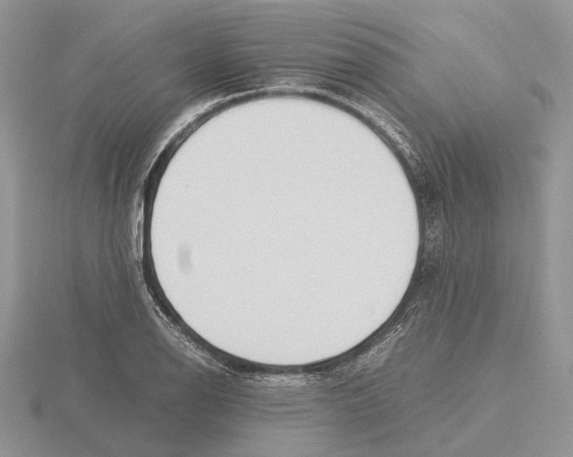 X0000115661126200912101046