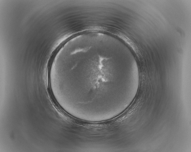 X0000115661127200912101046