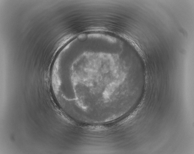 X0000115661129200912101046