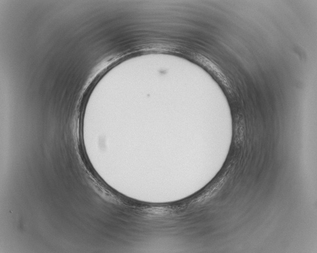 X0000115661130200912101046