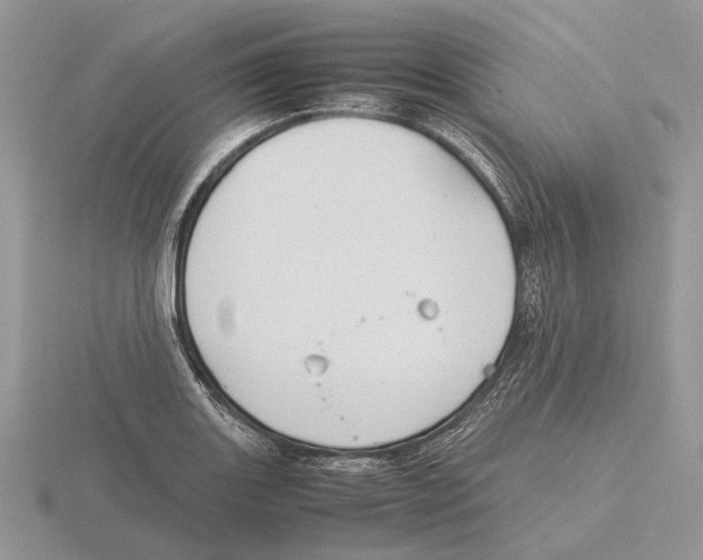 X0000115661131200912101046