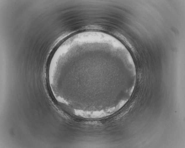 X0000115661133200912101046