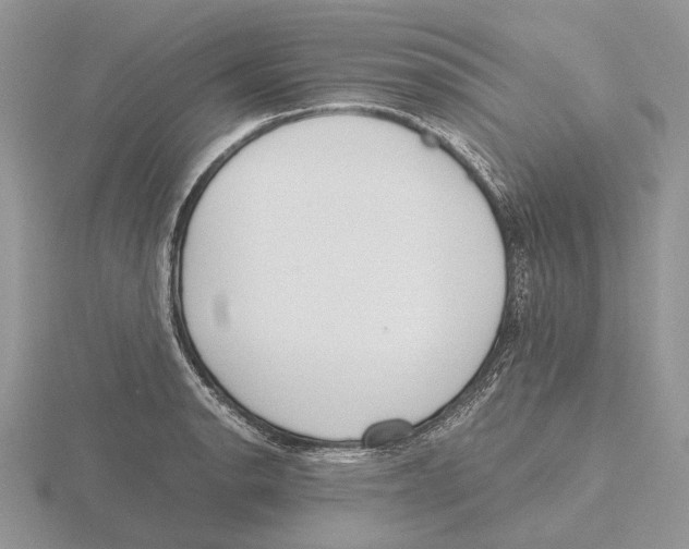 X0000115661134200912101046