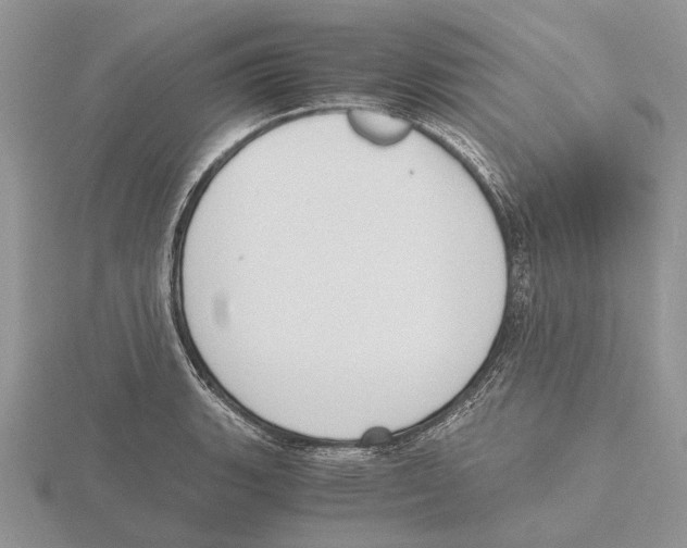 X0000115661135200912101046