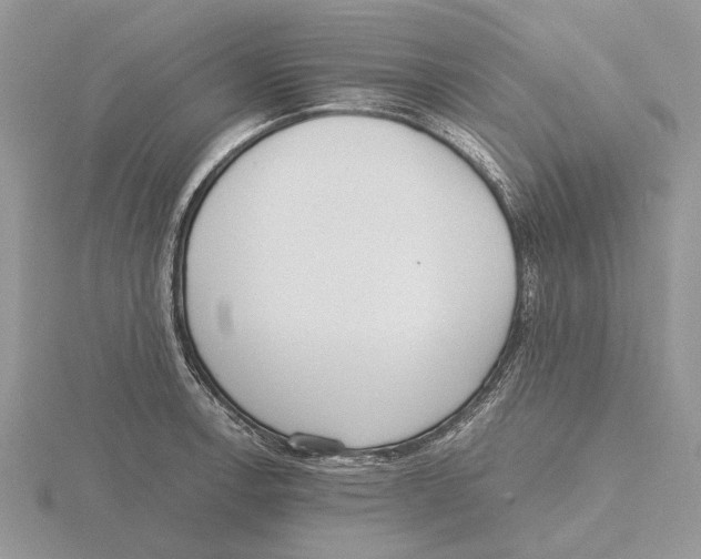 X0000115661138200912101046